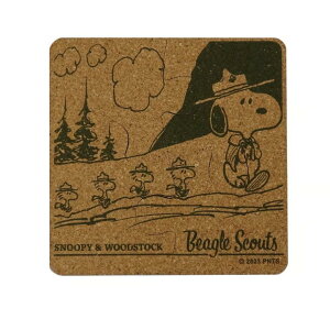 yz Xk[s[ pY^R[X^[~ir[OEXJEgj SNC700BS