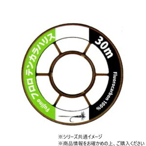 �y���������zFujino�i�t�W�m�j�@�t�����e���J���n���X�@30m�@K-21�@0.5��