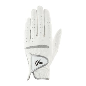 yz LXR@DNA VR[ fB[X p zCg 21cm