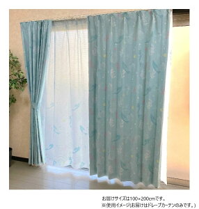 yz fBYj[ g}[Ch AG J[e 2g 100×200cm SB-555-D