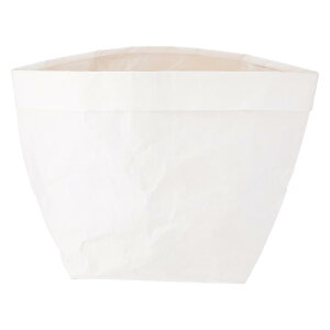 yz sf C/D:45396 Jo[ Ntg 7 IV