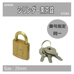 yz V_[싞Ԏw@@25~@2045D@1@17251