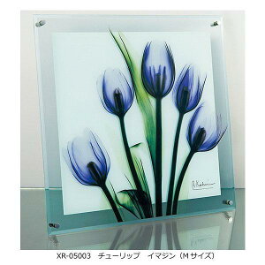 yzX RAY KX A[g `[bv C}W MTCY XR-05003