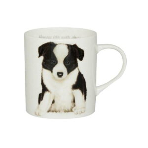 �y���������z���R�� �}�O�J�b�v �{�[�_�[�R���[ wa-m-S24