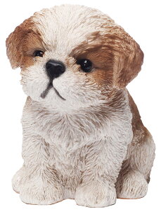 yzhbOI[ig V[Y[ 14064