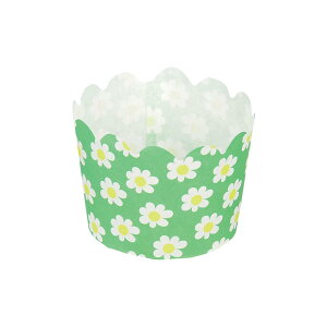 yzp[ xCNC[W[ }tBJbv60mm v`t[ 12 D-2673