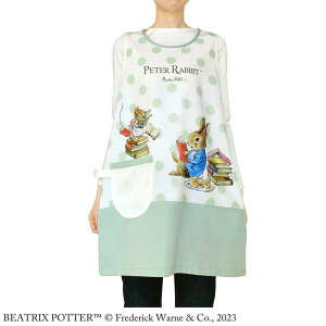 yzs[^[rbg Gv X[L[O[ ST-IP0003