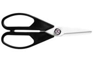 yztH[Go[ RۃZ~bN͂ ZLb`͂  nh COL-HWB