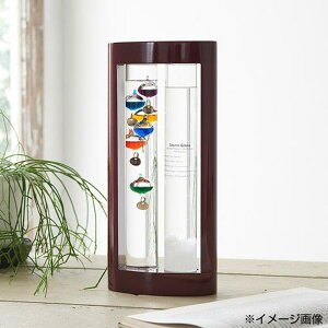 yzJY Fun Science xvXg[OX 333-279