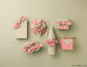 yzRc@ C~ 70 o[Vu L Jo/sN 10169-220