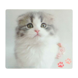 yz}EXpbh(XReBbVtH[h) MPD-215E