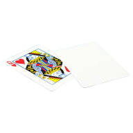 【送料無料】バイスクルマジックカード ブランクバック PCM06