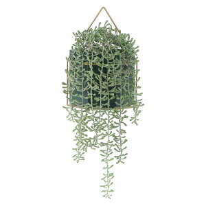 yzsfՁ@iC/D:41126j tFCNO[ ~JdLlbNX nMO