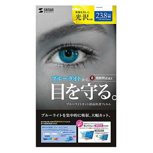 �y���������z23.8�^���C�h�Ή��u���[���C�g�J�b�g�t���ی�w��h�~����t�B���� LCD-BCG238W