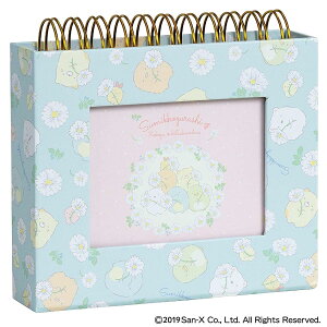 yziJoV@tHgN@t[P[XL@݂R炵@B@A-FTPC-204-2