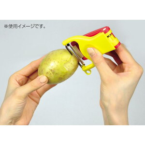 yzp[ KWFR S̎^s[[ CC-1216