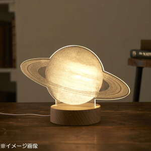 yzJY ANLEDCg y 390-301