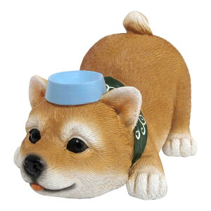 yzW Č  72788