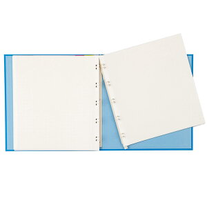 yziJoV CgAo Z~TCY 10 u[ AL-SY2-101-B