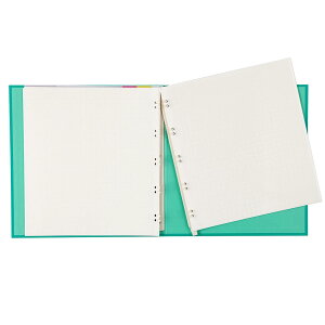 yziJoV CgAo Z~TCY 10 O[ AL-SY2-101-G