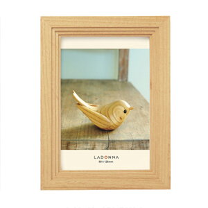 yzhi tHgt[ ʐ^ AVANTI EbhtHgt[ i` LTCY DF43-L-NT