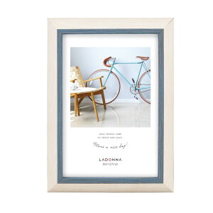 yzhi yʃtHgt[ ʐ^ T[rX lCr[ SF14-L-NV