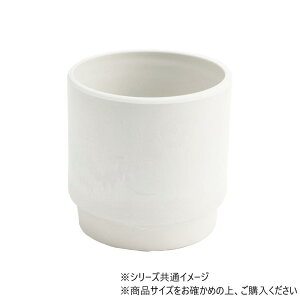 yzSKXebv 12xH12 ~L[ 3d00039ML