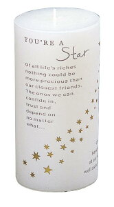 yzLh YOU ARE A STAR 24133