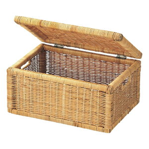 yztF[ t^toXPbg CN-41