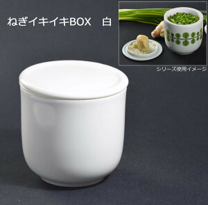 yz˂CLCLBOX (zCg)
