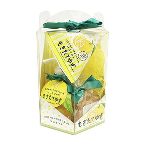 yz 䂸RC@oXMtgZbg@Ă䂸̍