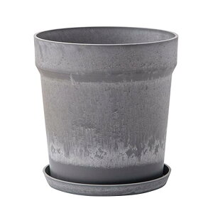 yz81056 A[ovc|bg \bh ZT~