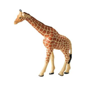 �y���������z ����H�Ɓ@MB-8545 �L�����i��j