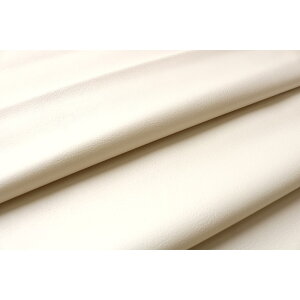 yz֎q̃tH[U[V[g AC{[ (60×120cm) MIRL-10 IV