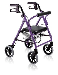 yz |Ձ@sԃnbs[~j@117003Ep[v^bN