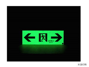 【送料無料】エルティーアイ 消防認定品 A級 高輝度蓄光式誘導標識 両矢印 縦100mm×横300mm ASN903