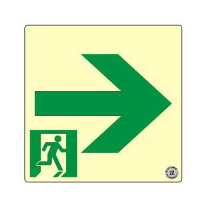 yzGeB[AC hFi S Px~UW X^_[h E SSN561