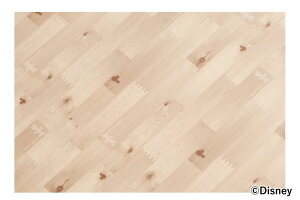 yz \Ă͂ VfR[VV[g 90×120cm BEix[Wj Ebh~j[