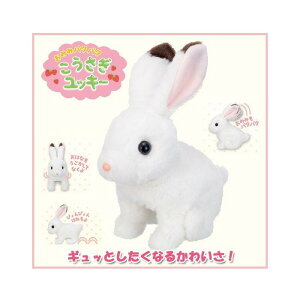 yz݂݃p^p^ bL[ ʂ  Mtg