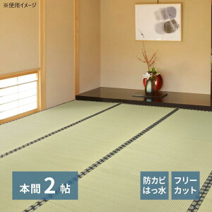 �y���������z �t���[�J�b�g ���\�肢���J�[�y�b�g �݂��� �{��2�� 158005020