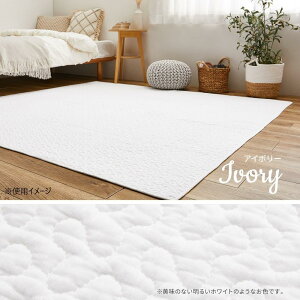 �y���������z �􂦂�L���g���O �f�R�[�� IV ��190×240cm CT�� 600009622