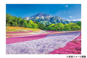 yzWO\[pY@{i@t̂イrR@1000s[X@1000-883