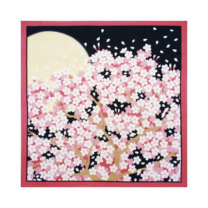 yz}R[ ԌiF C~ t 880799