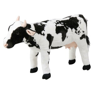 �y���������z �s��f�Ձ@�iC/D:47302�j �E�V�i���[���h�}�b�v�j 8981-31�i82470�j