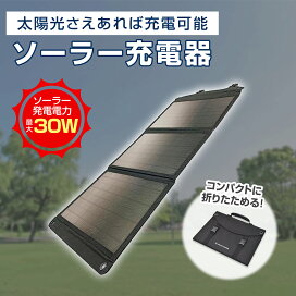 楽天市場】【送料無料】 ミュージアム シリーズ モネ「散歩」 MW-14001 