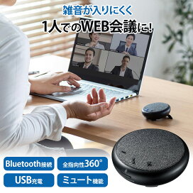 楽天市場】【送料無料】 ミュージアム シリーズ モネ「散歩」 MW-14001 