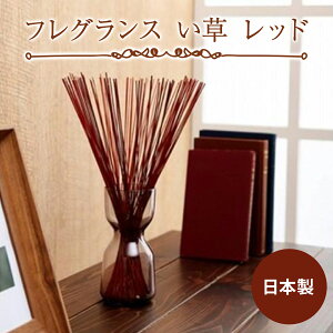 yztOX  u IuWF 70cm 50g bh 1370040240504