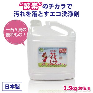 yz_fnړI܁@Ԏq@3.5kgp