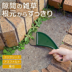 yz葐肭