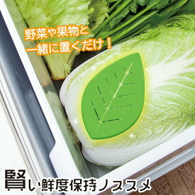 楽天市場 エチレンガス 冷蔵庫の通販